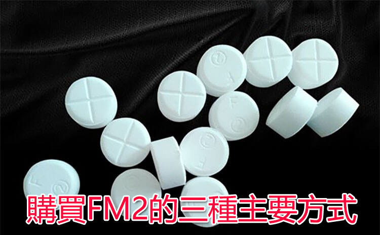 購買FM2的三種主要方式