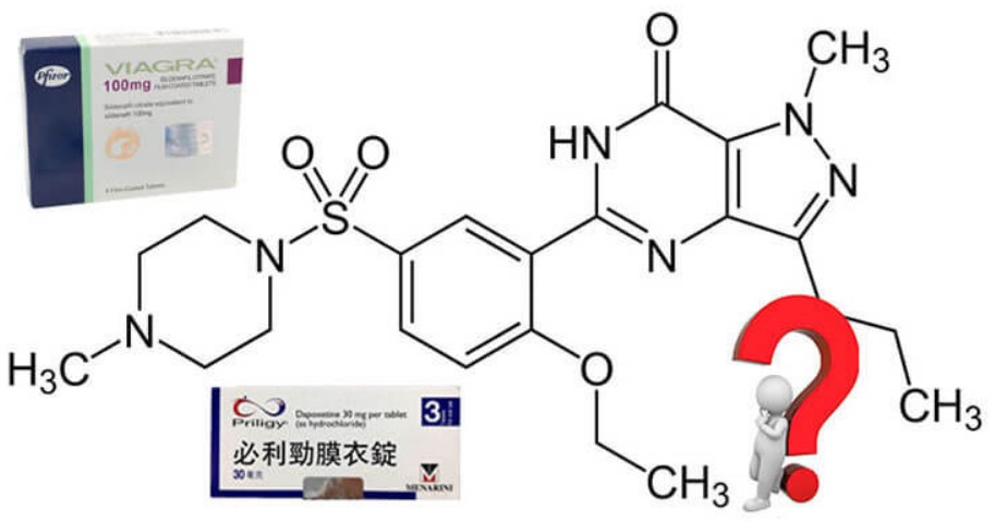 威而鋼與必利勁藥理學上的相容性